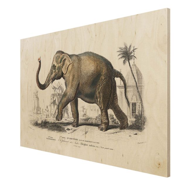 Quadri Bacheca vintage Elefante