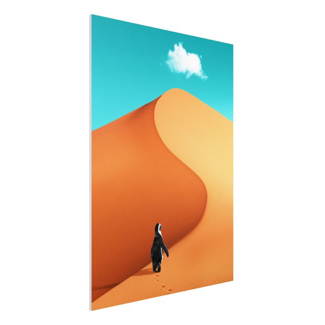 Quadri con paesaggio Deserto con pinguino