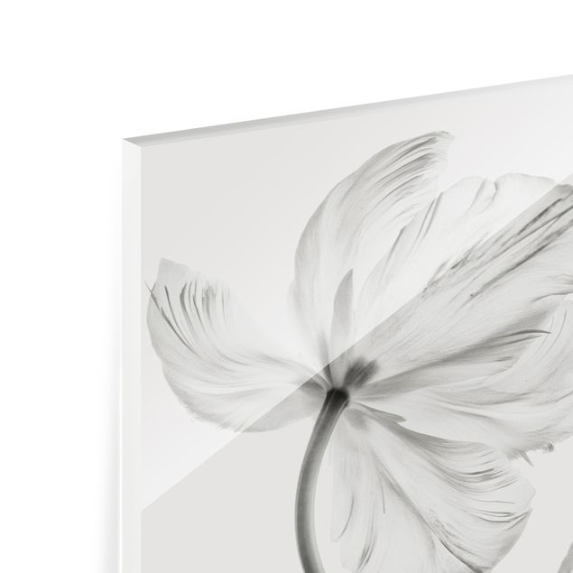 Paraschizzi in vetro - Due delicati tulipani bianchi - Quadrato 1:1