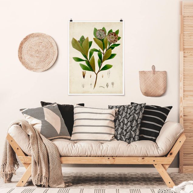 Poster retro style Poster con piante caducifoglie V