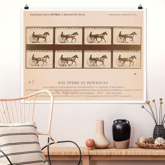 Riproduzioni Eadweard Muybridge - Il cavallo in movimento