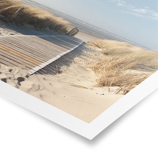 Poster con spiaggia Spiaggia del Mar Baltico
