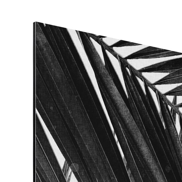 Stampe Vista sulle foglie di palma in bianco e nero