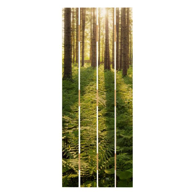 Stampe su legno Raggi di sole nella foresta verde