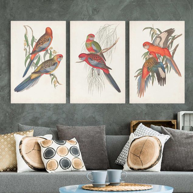 Quadri su tela con uccelli Pappagallo tropicale Set I