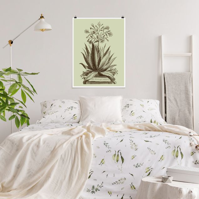 Quadri fiori Aloe Serrata vintage