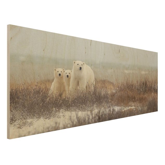 Stampe Orso polare e i suoi cuccioli