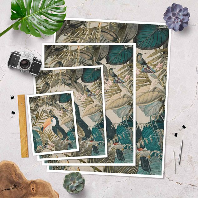 Poster Collage vintage - Tucano nella giungla