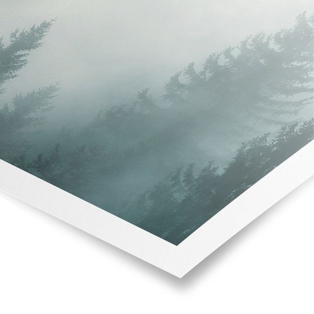 Quadri sulla natura Foresta di conifere nella nebbia