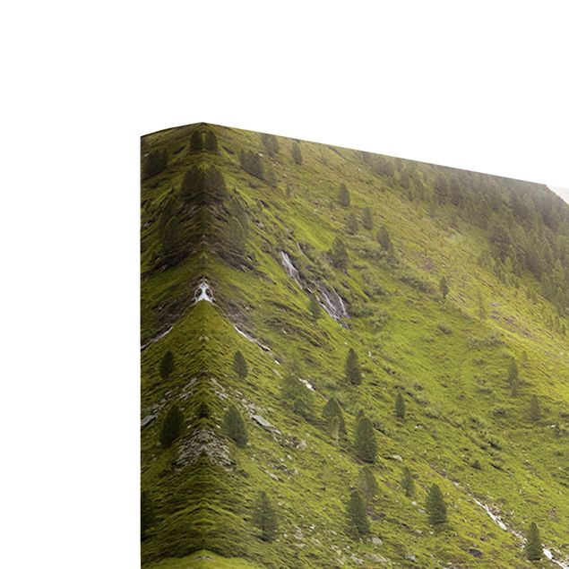 Quadri su tela paesaggio Prato alpino Tirolo