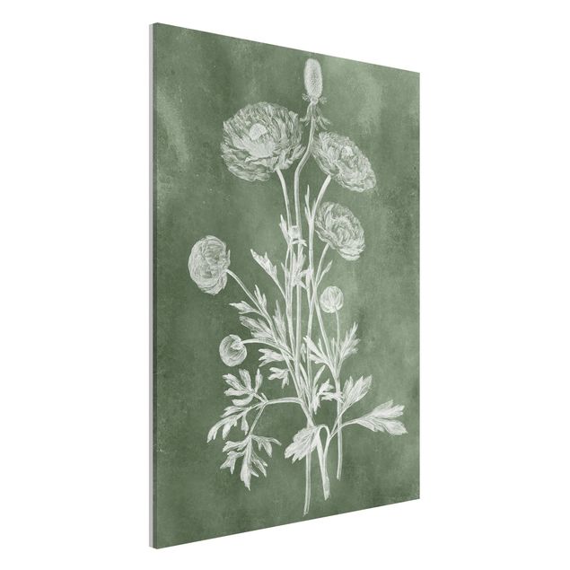 Lavagne magnetiche con fiori Illustrazione vintage Salvia