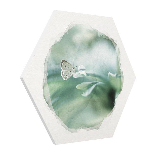 Quadri con animali Acquerelli - Farfalla e gocce di rugiada in verde pastello