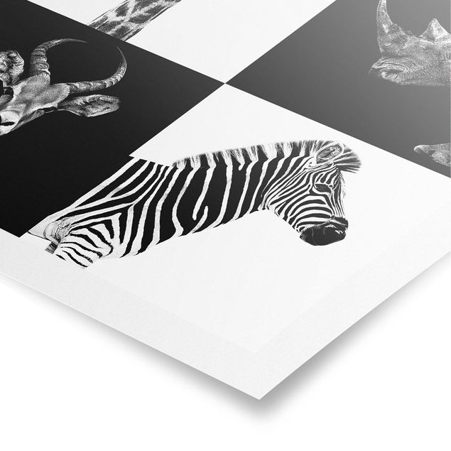Quadri bianco e nero Quartetto di safari