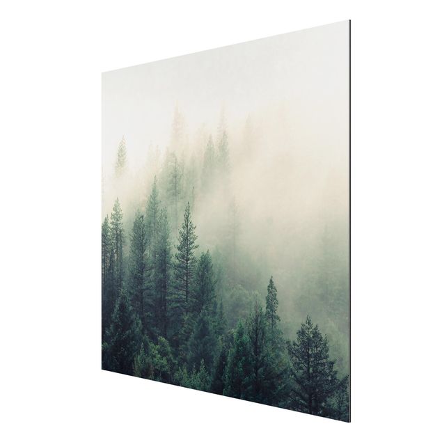 Quadri moderni   Risveglio della foresta nebbiosa