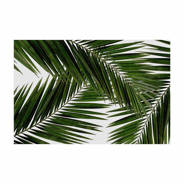 Tappeti con motivi naturali Vista attraverso le foglie di palma verde