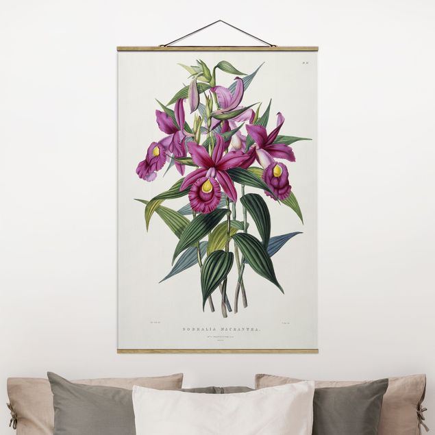 Riproduzioni Maxim Gauci - Orchidea I