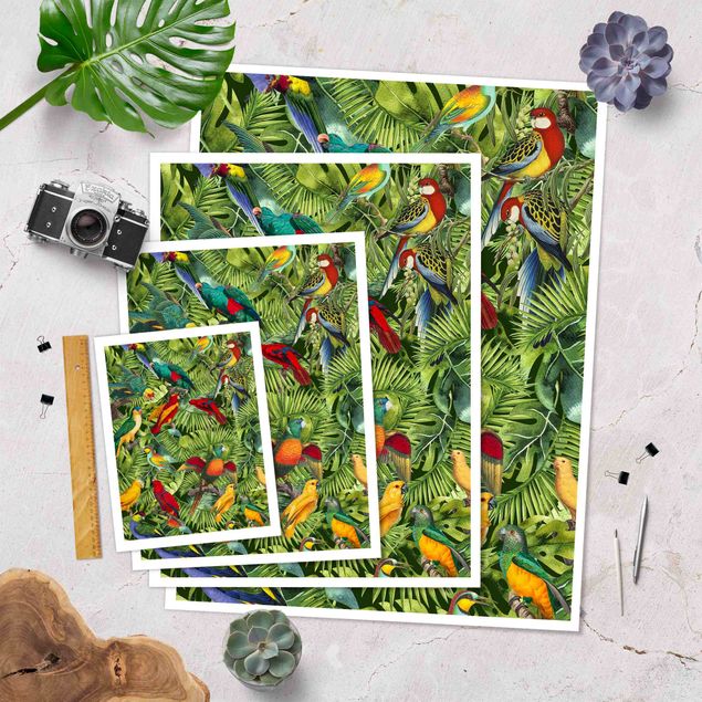 Stampe poster Collage colorato - Pappagalli nella giungla