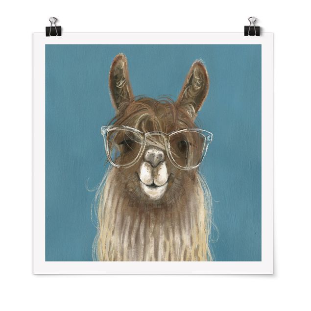 Quadri animali Lama con occhiali III