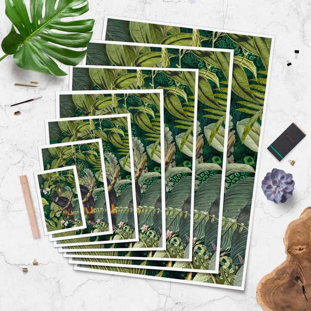 Stampe poster Collage colorato - Cacatua nella giungla