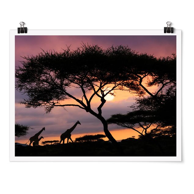 Quadri giraffa Safari africano