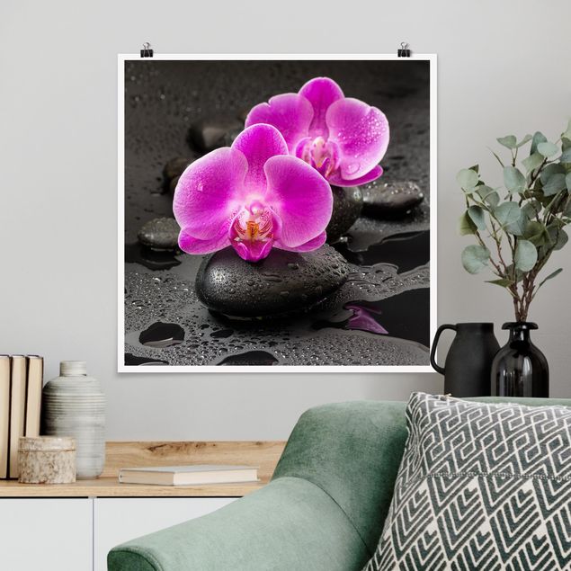 Quadri orchidee Fiore di orchidea rosa su pietra con gocce
