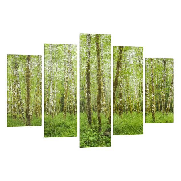 Quadri su tela componibili Foresta pluviale di Hoh Parco nazionale olimpico