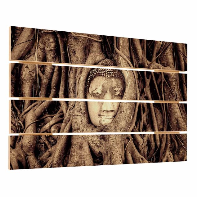 Quadri su legno Buddha ad Ayutthaya rivestito dalle radici degli alberi in marrone