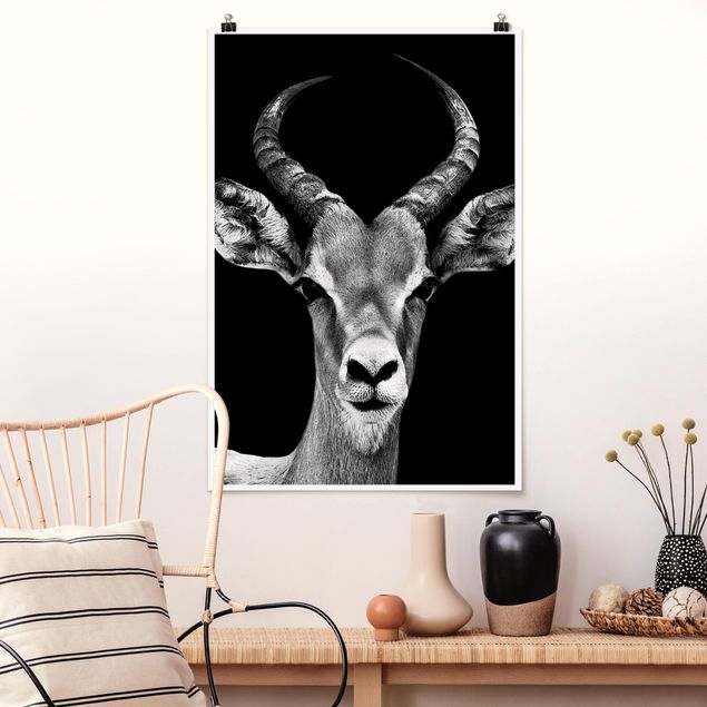 Quadro Africa Antilope Impala in bianco e nero