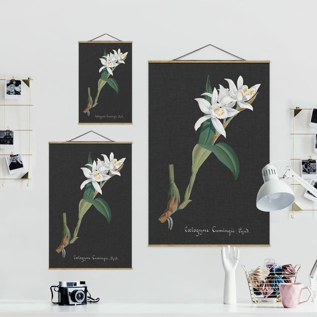 Stampe Orchidea bianca su lino II
