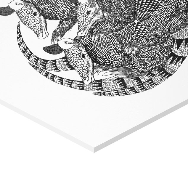 Esagono in forex - Illustrazione del modello Armadillos Bianco e nero