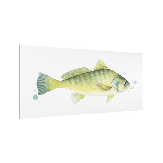 Paraschizzi cucina vetro Colore Cattura - Pesce persico