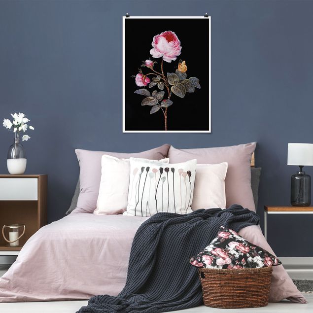 Quadro barocco Barbara Regina Dietzsch - La rosa dai cento petali