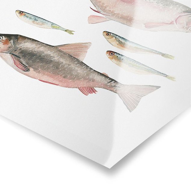 Poster da parete  Sette pesci in acquerello I
