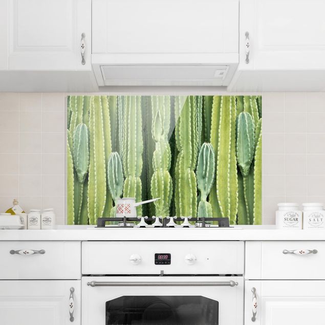 Decorazioni cucina Muro di cactus