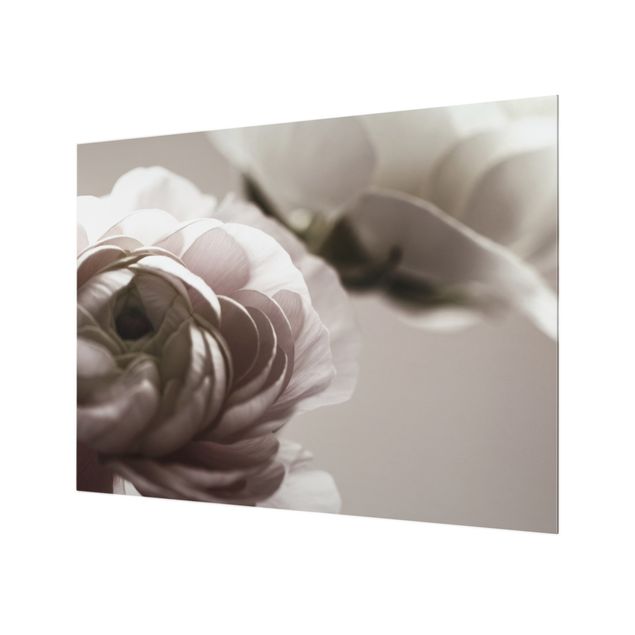 Paraschizzi in vetro - Focus su fioritura scura - Formato orizzontale 4:3