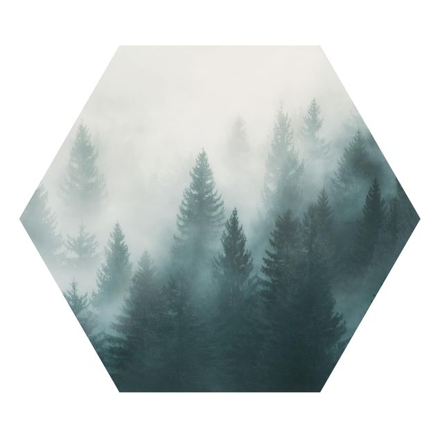 Stampe Foresta di conifere nella nebbia