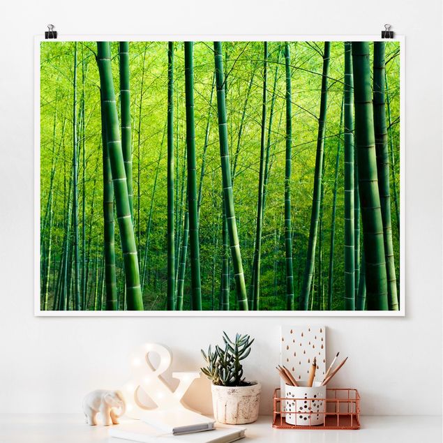 Quadri con paesaggio Foresta di bambù