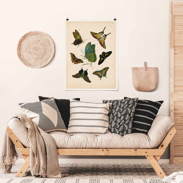Poster retro Illustrazione vintage Farfalle esotiche