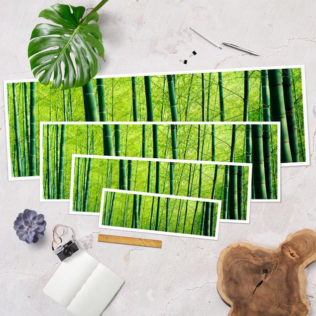 Stampe poster Foresta di bambù
