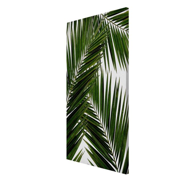 Quadri moderni   Vista attraverso le foglie di palma verde