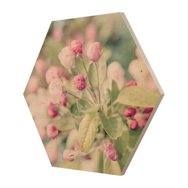 Quadri stampe Bokeh di fiori di melo rosa chiaro