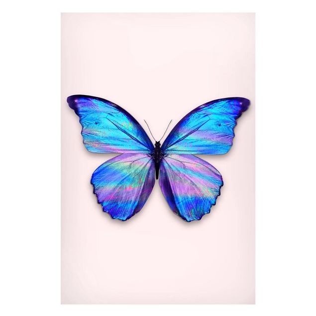 Quadri con farfalle Farfalla olografica