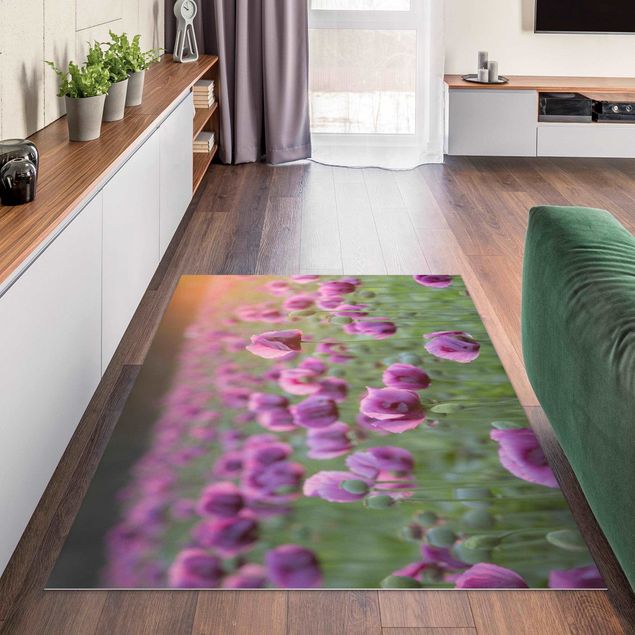 tappeti floreali moderni Prato di papaveri viola in primavera