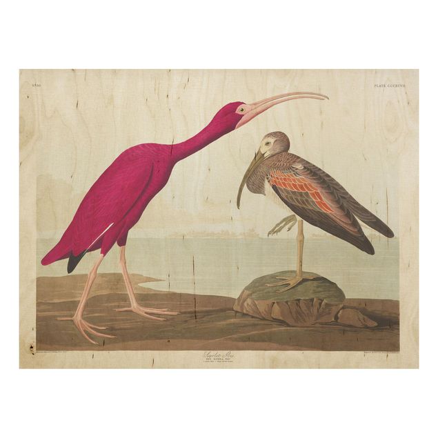 Quadri in legno con paesaggio Bacheca Vintage Ibis rosso