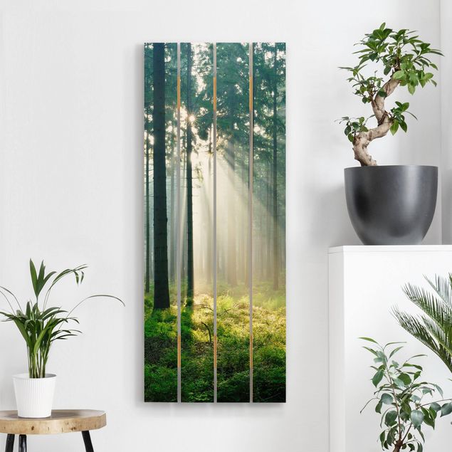 Quadri in legno con paesaggio Foresta illuminata