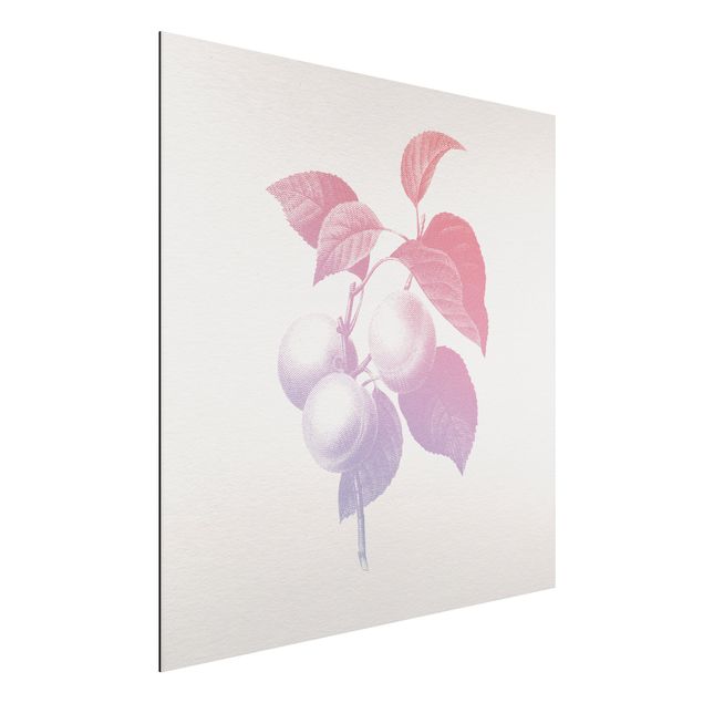 Quadri fiori Botanica moderna vintage - Pesca Rosa chiaro Viola