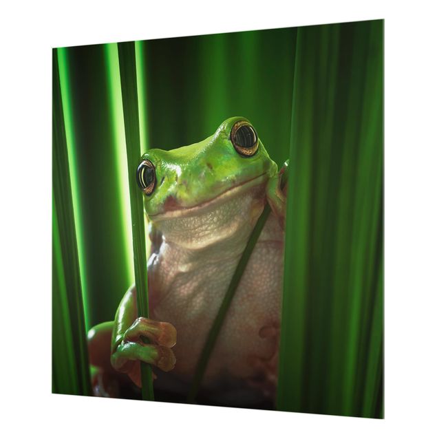 Paraschizzi in vetro - Happy Frog