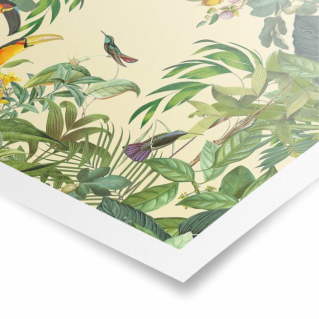 Quadri colorati Collage vintage - Uccelli nella giungla