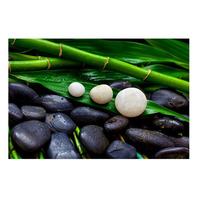Lavagne magnetiche con fiori Bambù verde con pietre zen