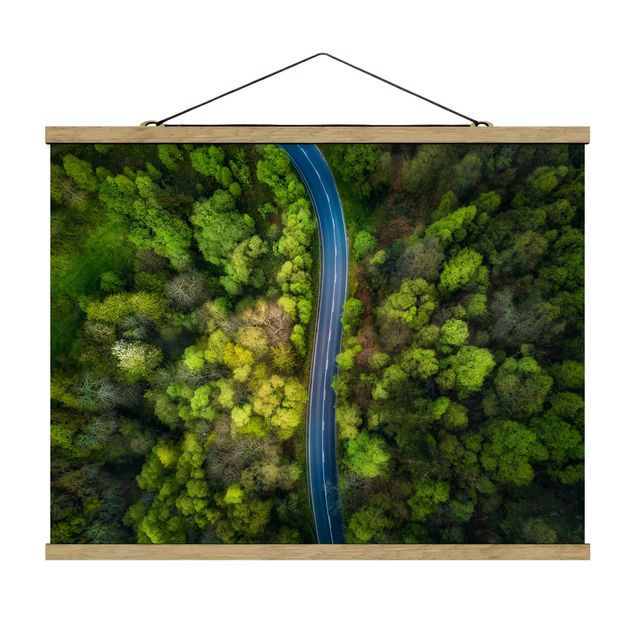 Quadro natura Vista aerea - Strada asfaltata nella foresta